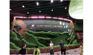 2019北京世園會，我們來啦